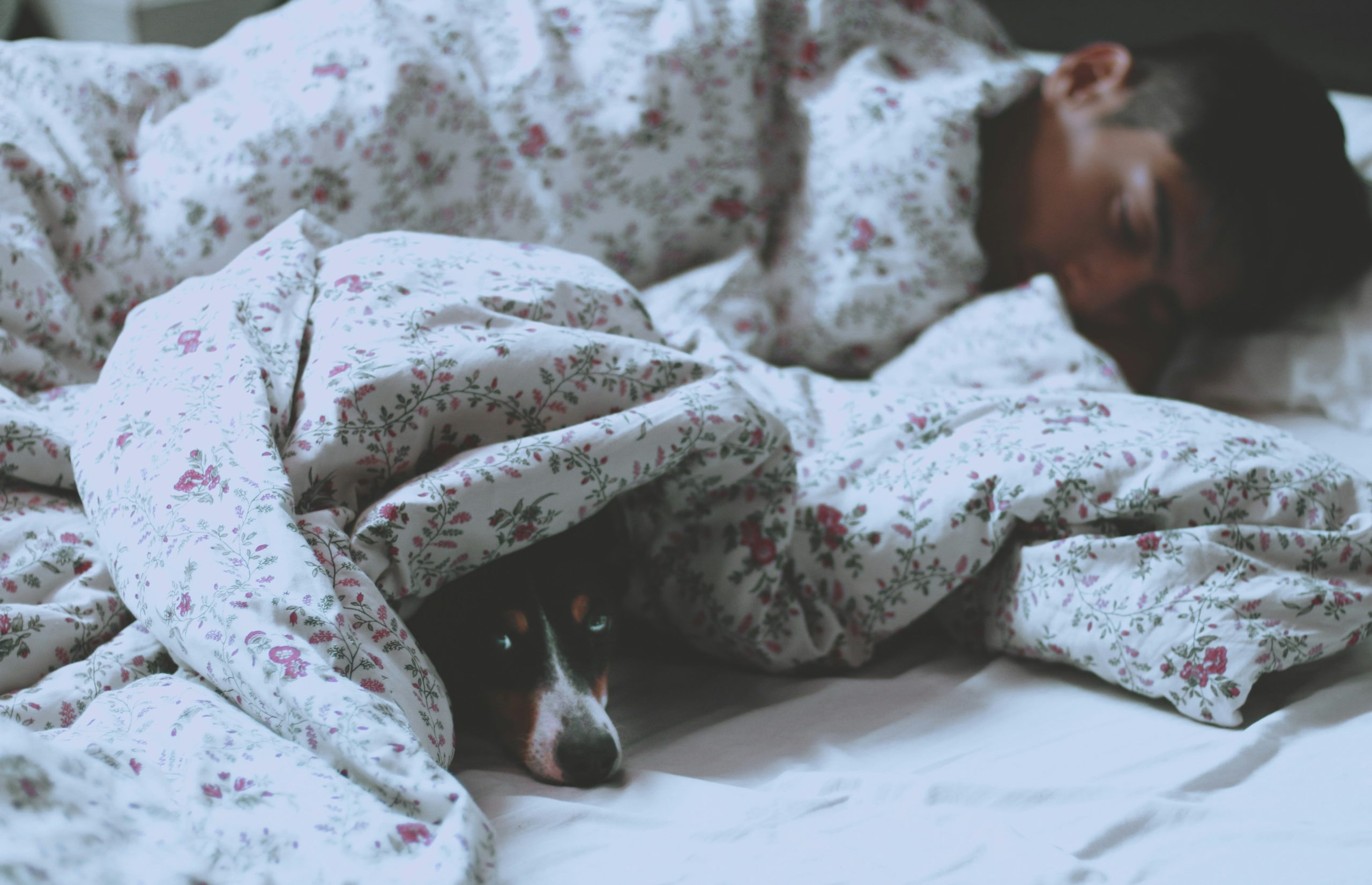 relaxing bedtime routine