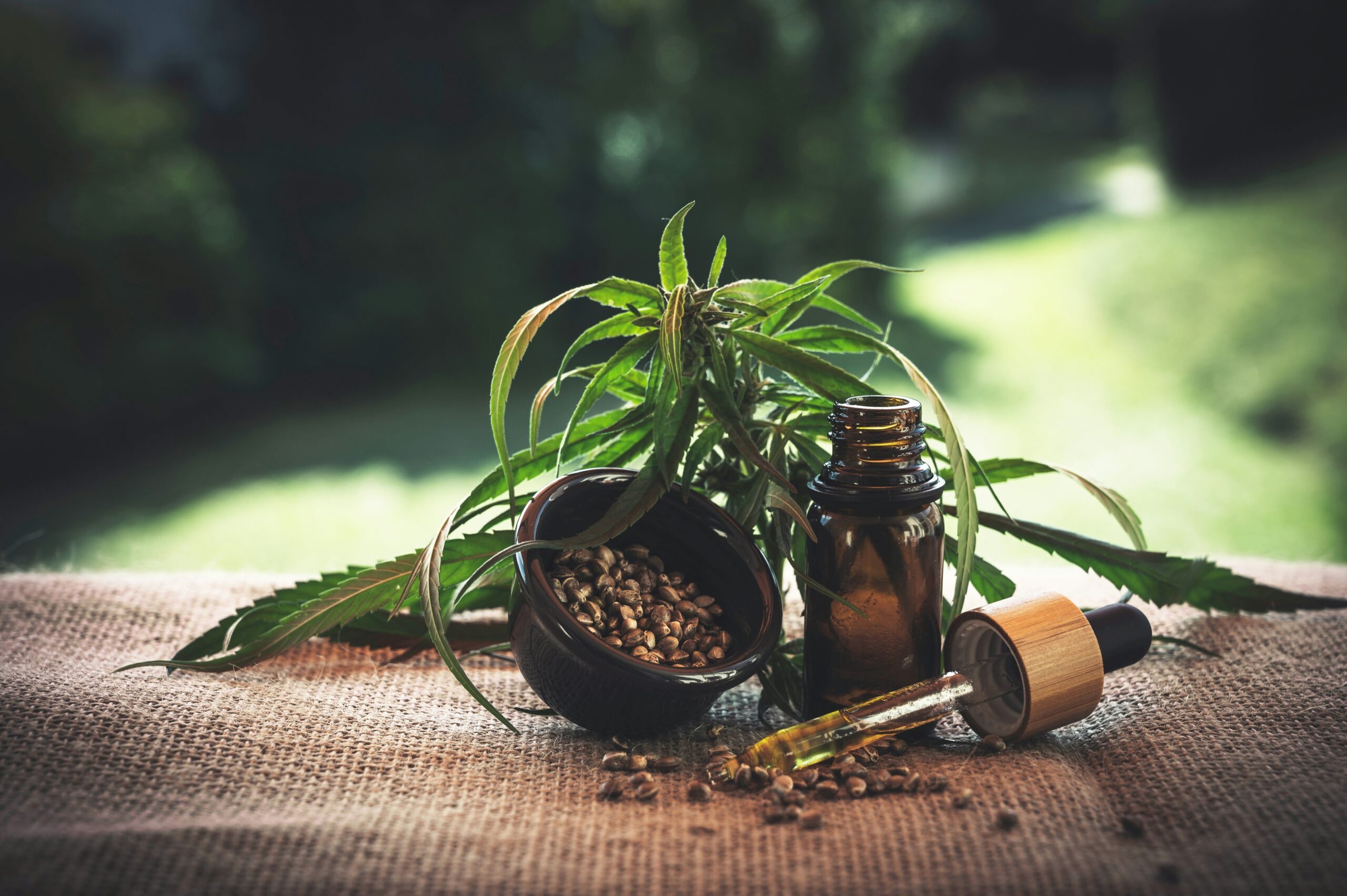 Calming Remedies: How Lemon Balm Can Revolutionize Your Weight Loss Journey