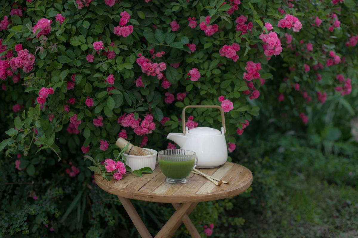 A smiling woman holding a steaming mug of lemon balm tea in one hand and a book in the other.