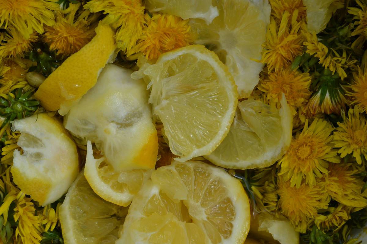 A steaming cup of lemon balm tea garnished with fresh lemon slices.