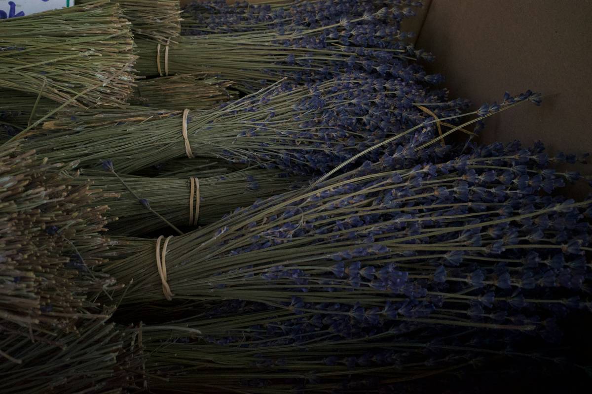 Lemon Herb Tranquility: The Surprising Secret to Weight Loss & Wellness