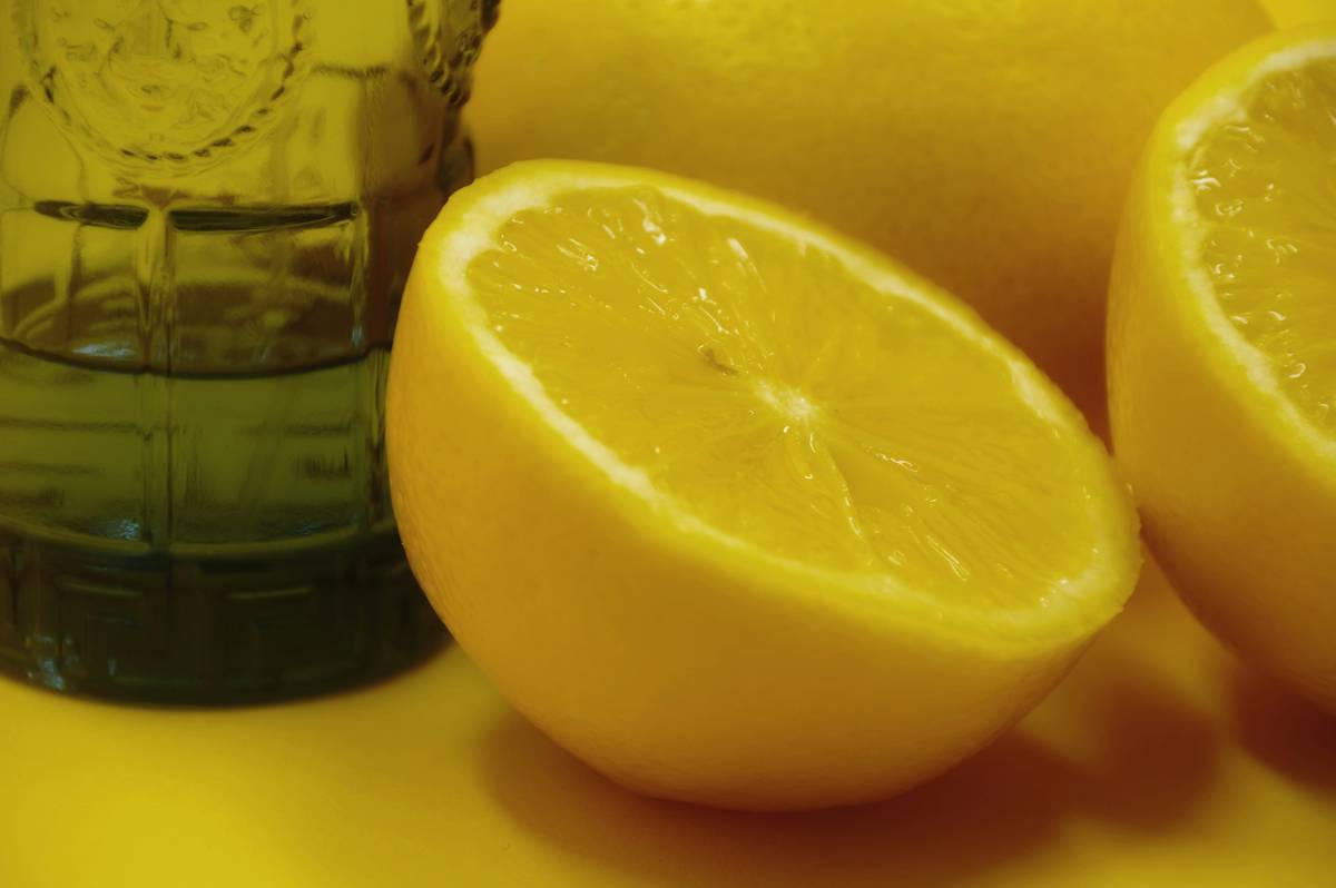 Why Lemon Balm is Your New Favorite Mood Enhancer Lemon for Weight Loss & Health